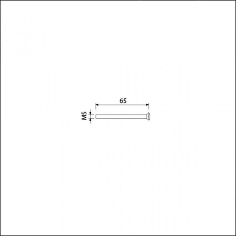 Patentbout M5x65mm RVS