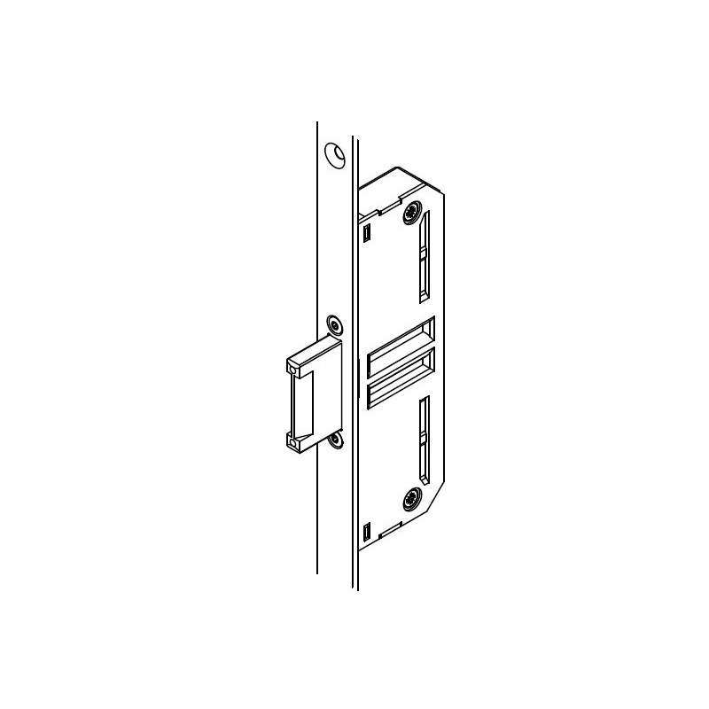 Kfv Renovatie Voorplaat - Rvs - 24mm - PC92